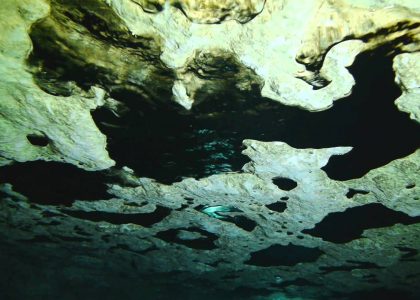 CAVE DIVING in Tank Cave -  F TUNNEL Mount Gambier Region | aquasport.tv