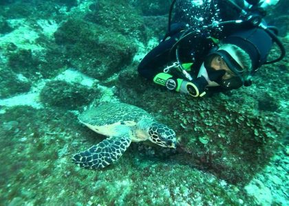 Diving South West Rocks - New South Wales | aquasport.tv