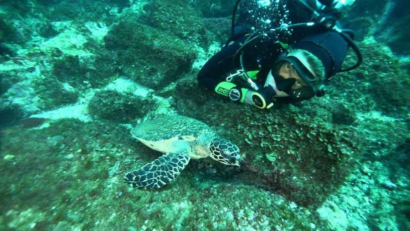 Diving South West Rocks - New South Wales | aquasport.tv