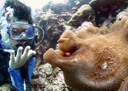 Fishy Mactan Dive