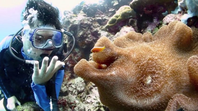 Fishy Mactan Dive