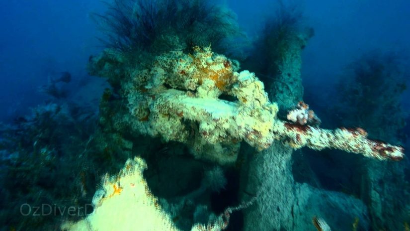 Wreck of the Estelle Star | aquasport.tv