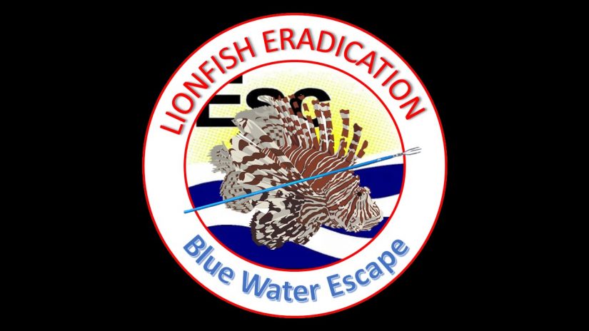 Stone Lionfish Eradication Charters | aquasport.tv