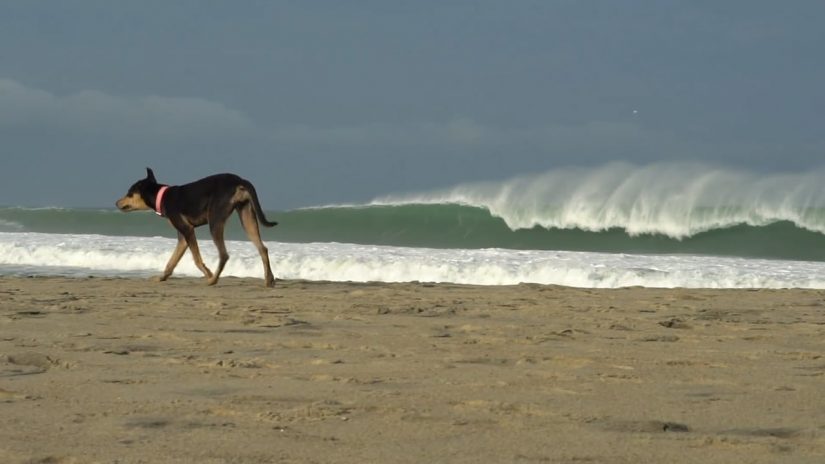 Puerto Escondido Challenge 2017 - Kai Lenny - 31 de agosto de 2017 | aquasport.tv