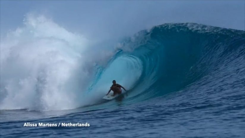 Palm Trees and Barrels | aquasport.tv