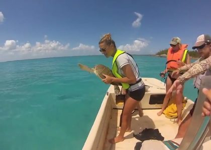 Dana Biddle Cape Eleuthera Institute video // song: California Sunrise by Dirty Gold | aquasport.tv