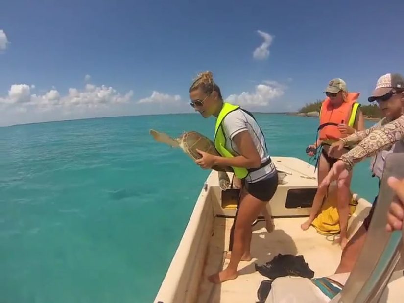 Dana Biddle Cape Eleuthera Institute video // song: California Sunrise by Dirty Gold | aquasport.tv