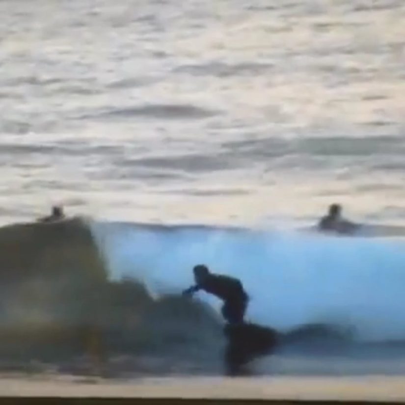 Recent surfing | aquasport.tv