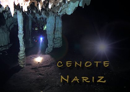 Cenote Nose