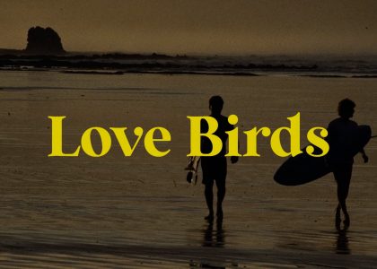 LOVE BIRDS TEASER